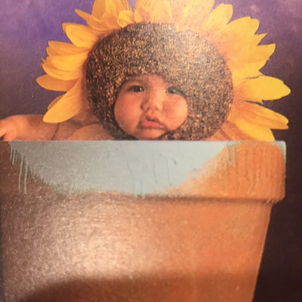 ANNE GEDDES DOWN IN THE GARDEN NWOT - Picture 8 of 16